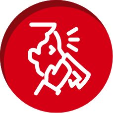 Ícone Doenças causadas por vírus, como a gripe | TYLENOL®