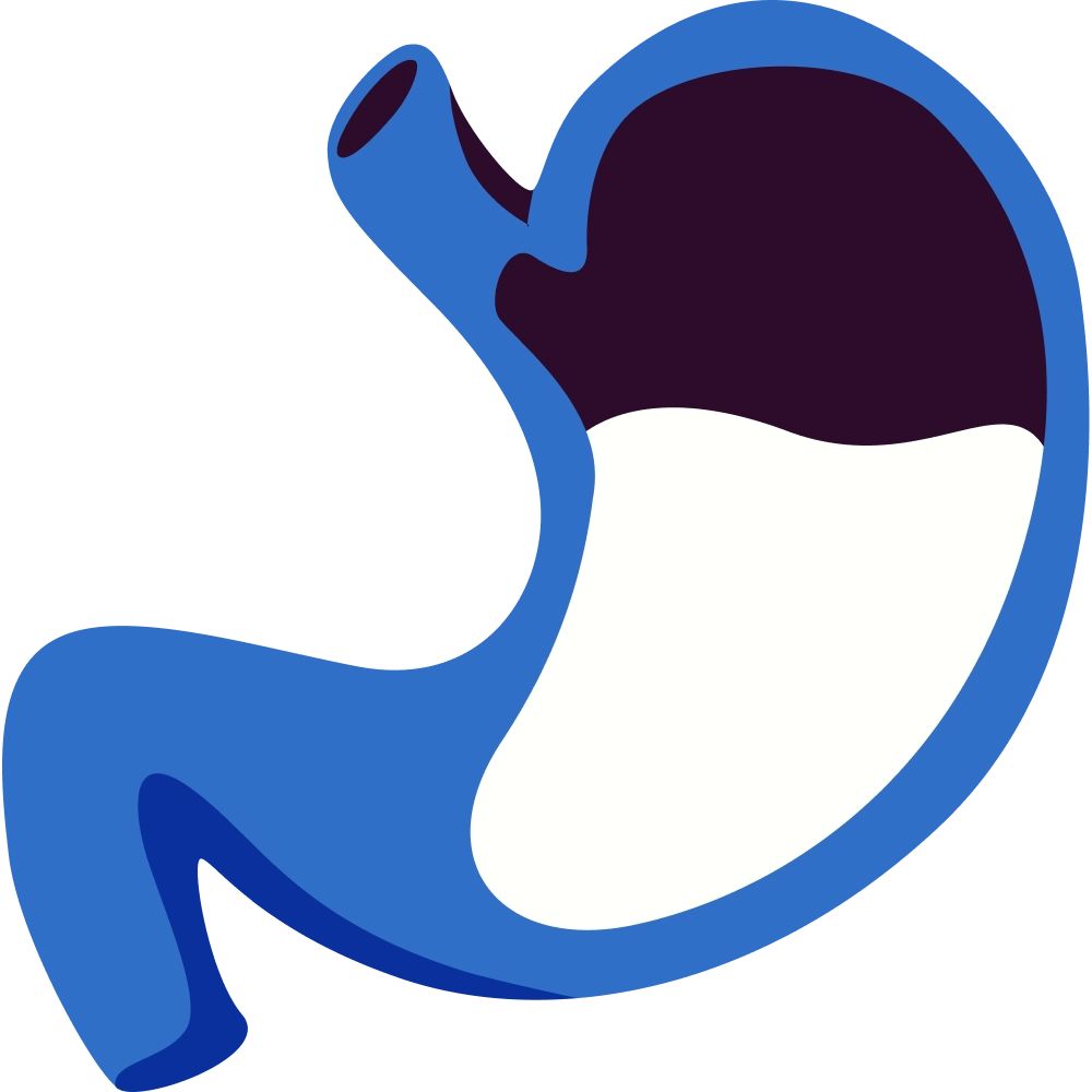 Digestion