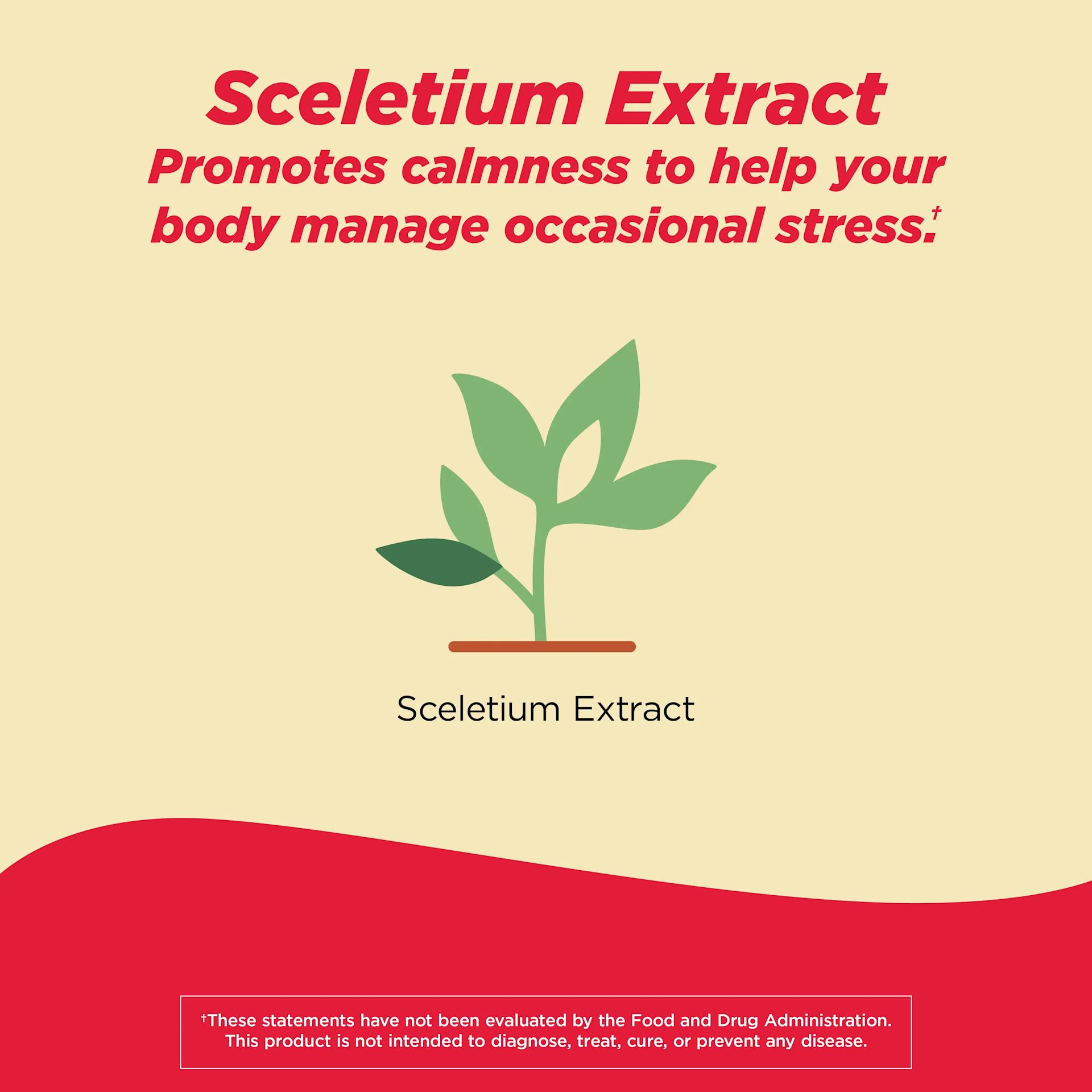 Sceletium Stress TYLENOL® Proactive Support* Muscle & Joint + Stress
