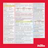 Infants' TYLENOL® Dye Free Oral Suspension