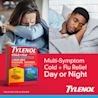 Daytime Cold & Flu Multi-Symptom Relief Liquid Gels