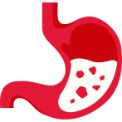 Stomach
