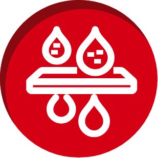 O que seu fígado faz? Limpa | TYLENOL®