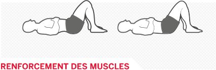 Infographique Renforcer le dos