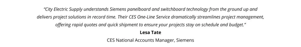 CES One-Line Service: panelboards and switchboards without the wait image