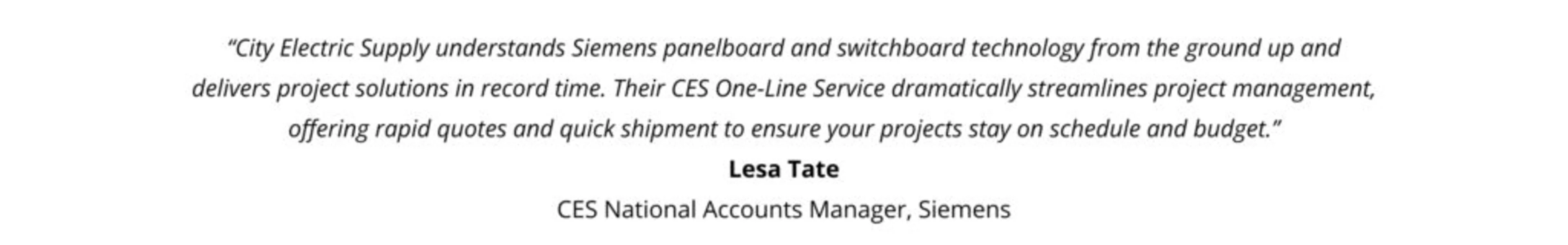 CES One-Line Service: panelboards and switchboards without the wait image