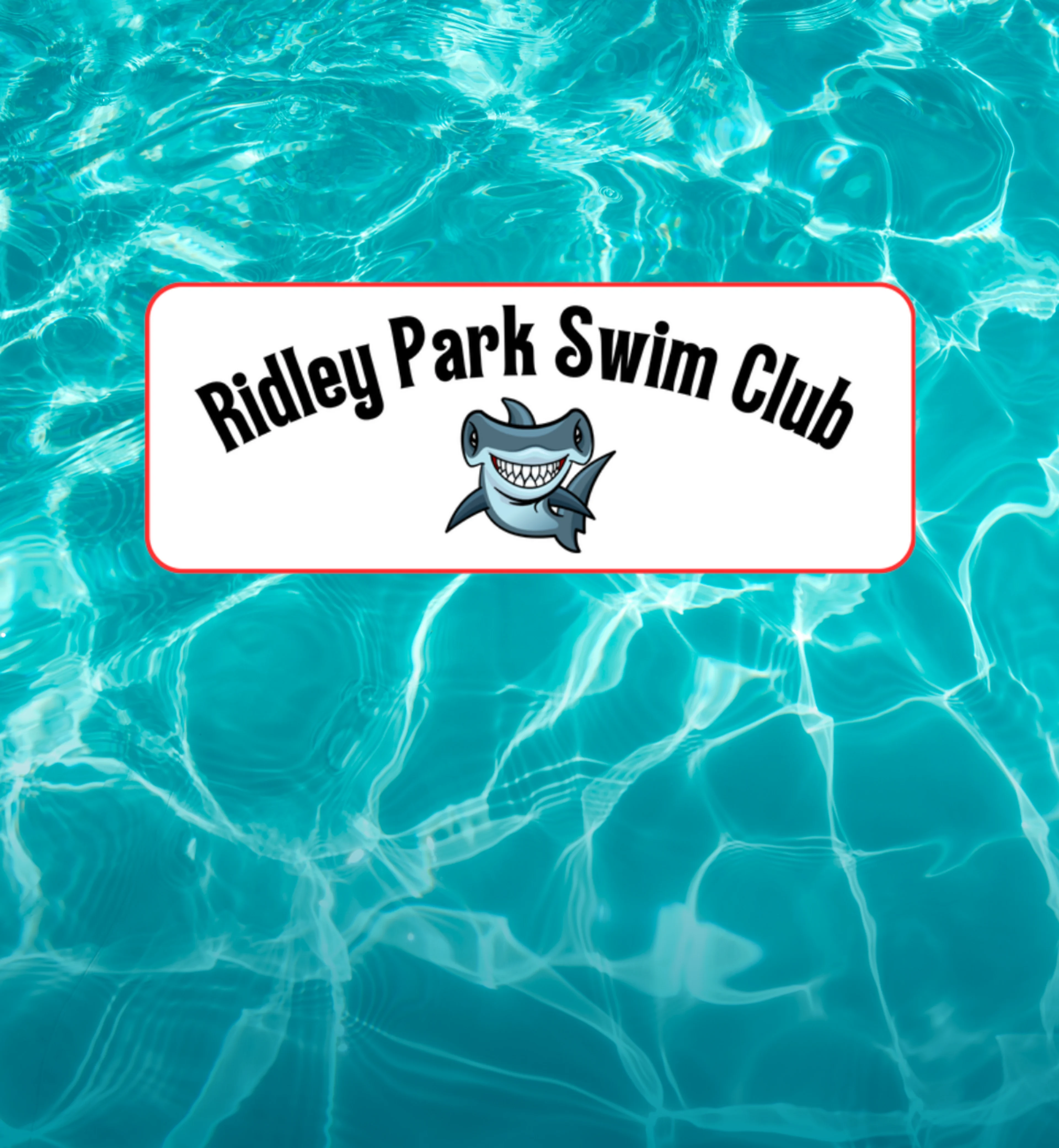 Blog Post_header