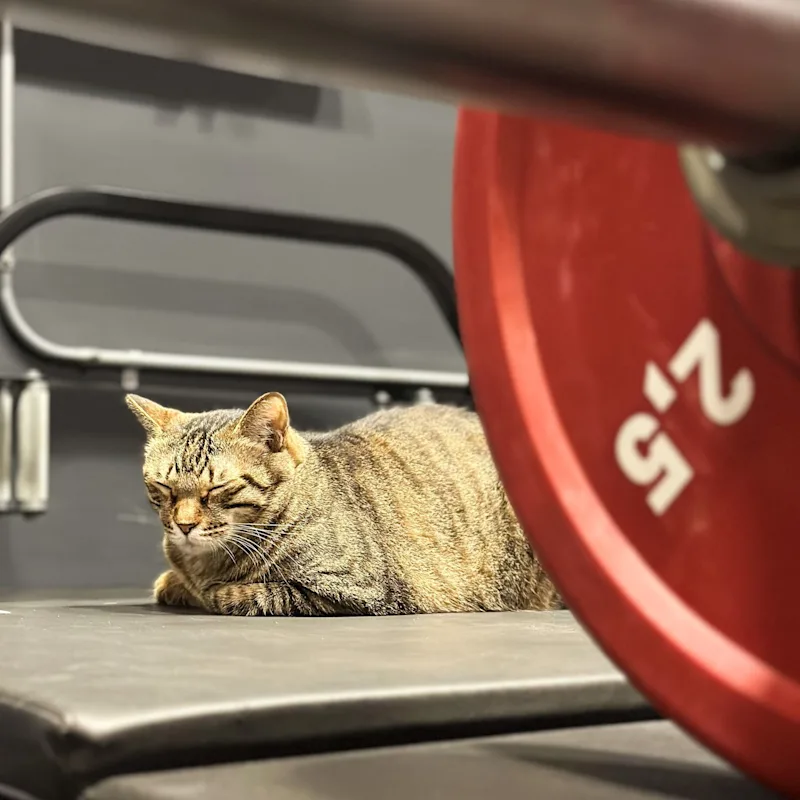 高雄健身教練推薦怎麼選？5 個挑選重點完整指南