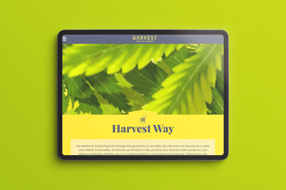 The Harvest House of Cannabis website, visible on an iPad Pro tablet device.