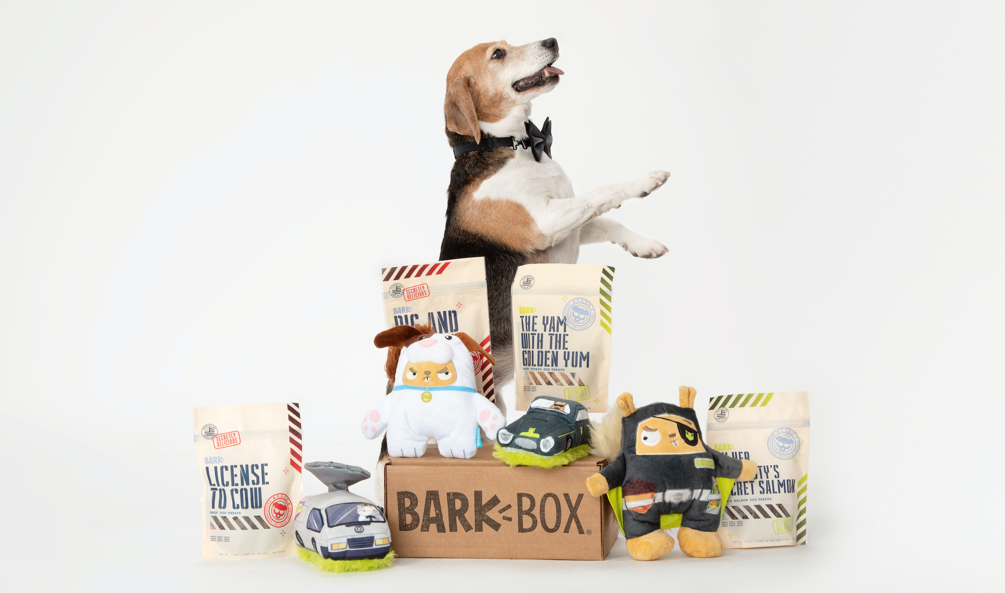 change barkbox subscription to super chewer