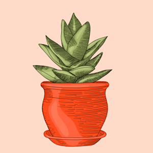 Illustration of a flower pot and green plant