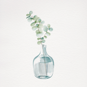 Vase and Eucalyptus on a watercolour background