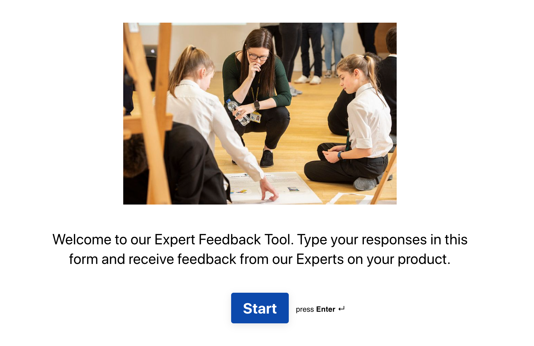 Expert Feedback Tool.png