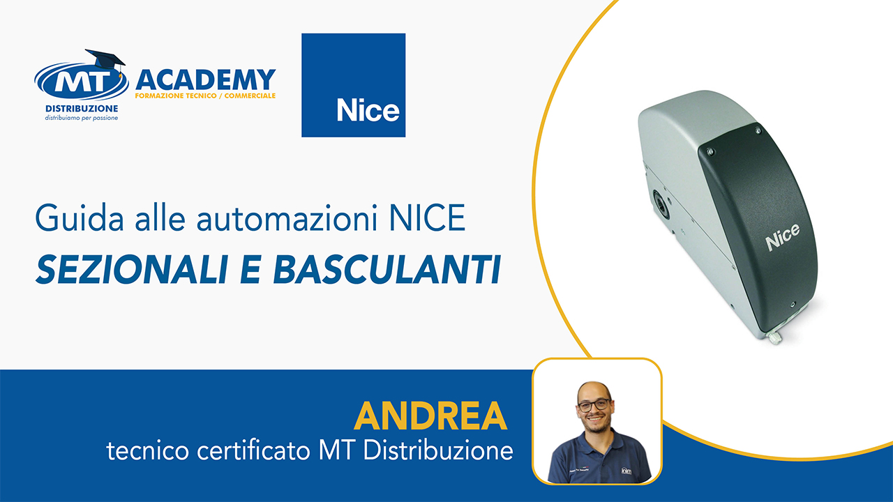 automazioni sezionali e basculanti