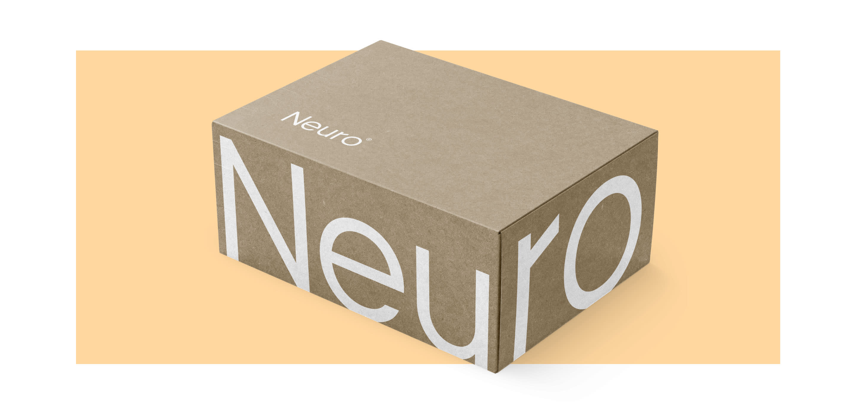 6 neuro desktop