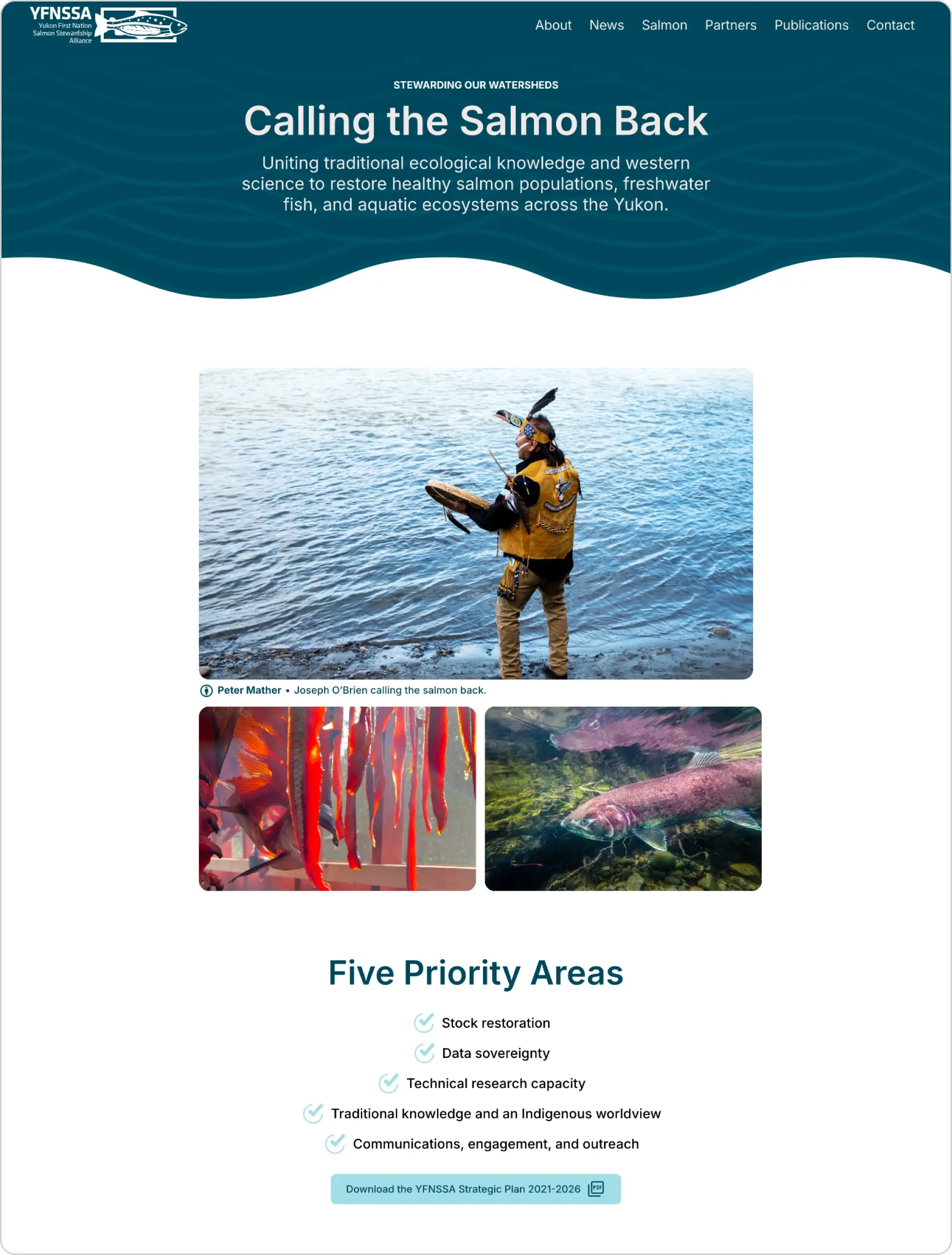 Sample screenshot of Yukon First Nation Salmon Stewardship Alliance website home page.