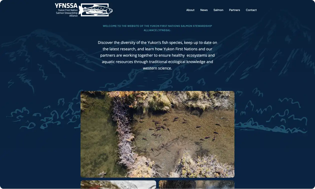 Sample screenshot of Yukon First Nation Salmon Stewardship Alliance website home page.