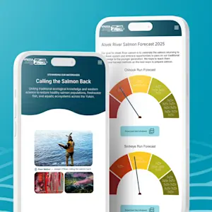 YFNSSA website homepage with Indigenous cultural elements and a modern, green-themed design