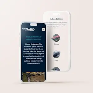 YFNSSA website homepage with Indigenous cultural elements and a modern, green-themed design