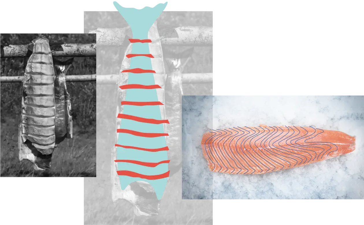 YFNED Nutrition Logo pattern YFNED Nutrition Logo inspiration