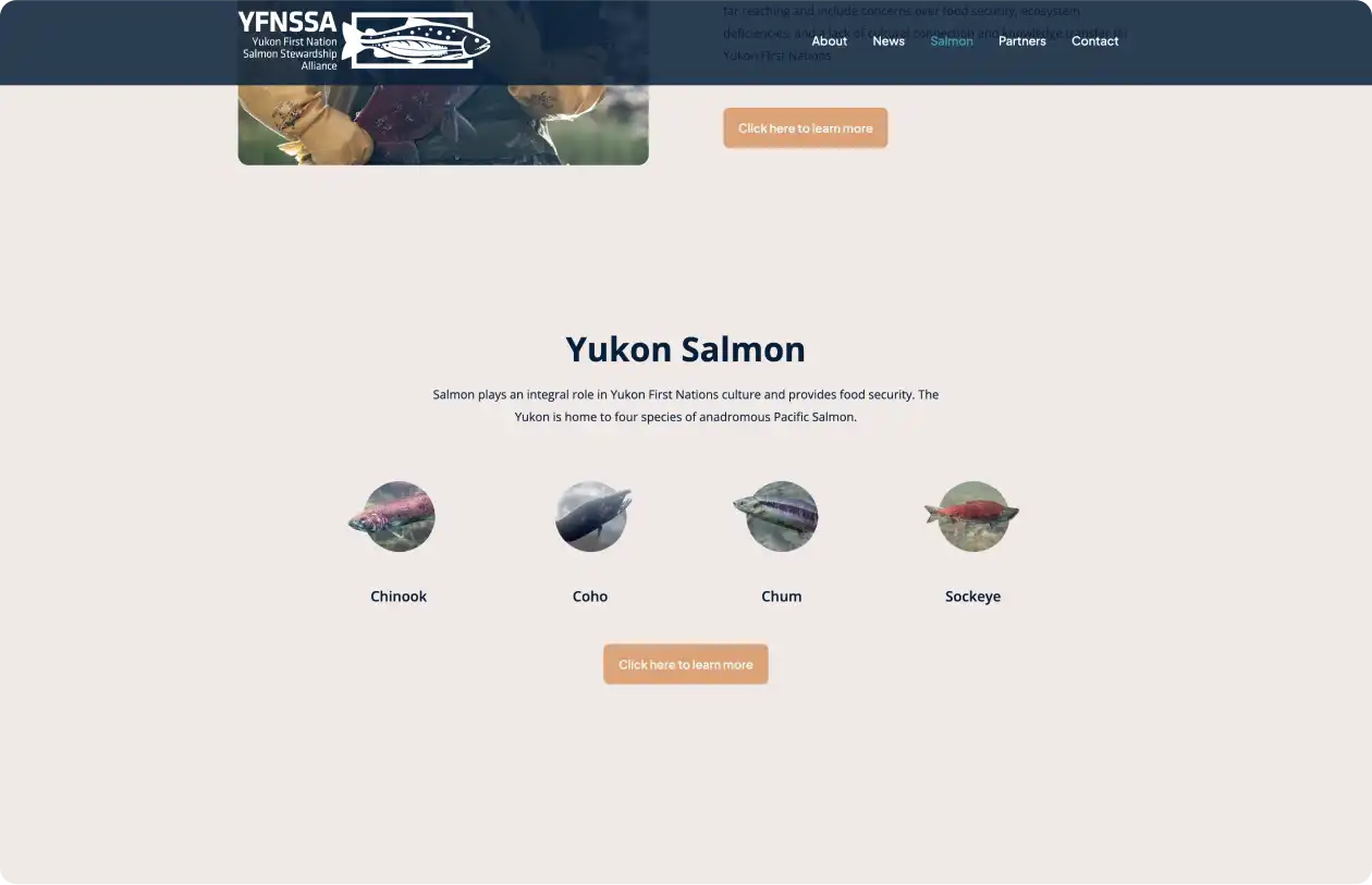 Sample screenshot of Yukon First Nation Salmon Stewardship Alliance website inner page.