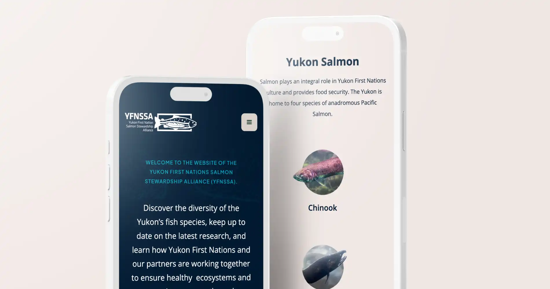 YFNSSA website homepage with Indigenous cultural elements and a modern, green-themed design.