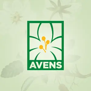 Avens logo with stylized text and a flower symbol, representing senior care services