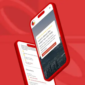 Blood Ties organization website design example.