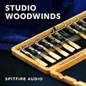 Studio Woodwinds