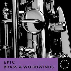 Epic Brass & Woodwinds