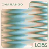 Charango