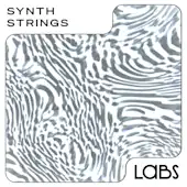 Synth Strings