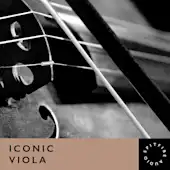 Iconic Viola