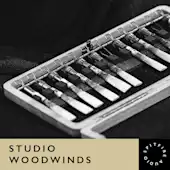Studio Woodwinds