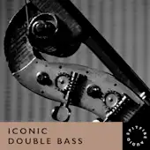 Iconic Double Bass