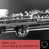 BBC SO Flutes & Clarinets