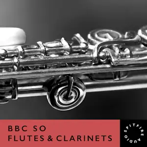 BBC SO Flutes & Clarinets
