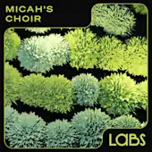 Micah's Choir