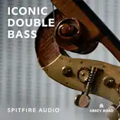 Iconic Double Bass