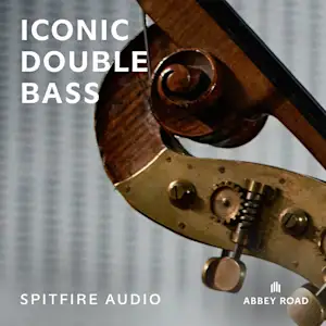 Iconic Double Bass