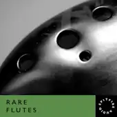 Rare Flutes