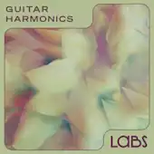 Guitar Harmonics
