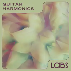 Guitar Harmonics