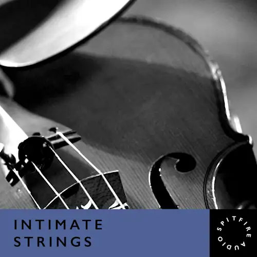 Chamber Ensemble: Strings Preset Pack | Splice INSTRUMENT