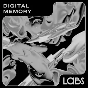 Digital Memory