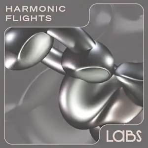 Harmonic Flights