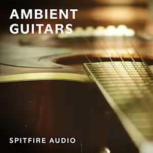 Ambient Guitars