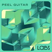 Peel Guitar