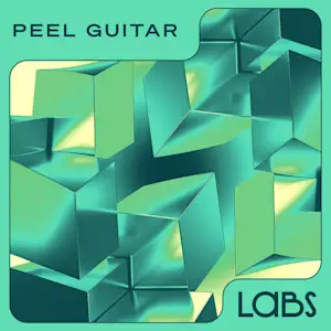 Peel Guitar