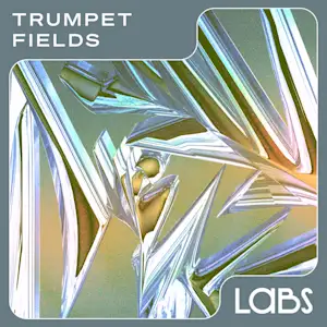 Trumpet Fields